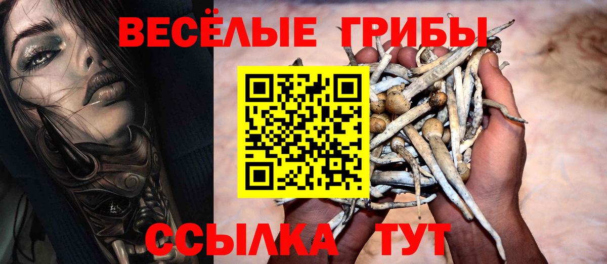 Псилоцибиновые грибы Psilocybine cubensis  Вход с VPN  Ялуторовск 